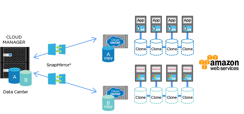 An overview of NetApp's ONTAP Cloud edition. Image courtesy of netapp.com